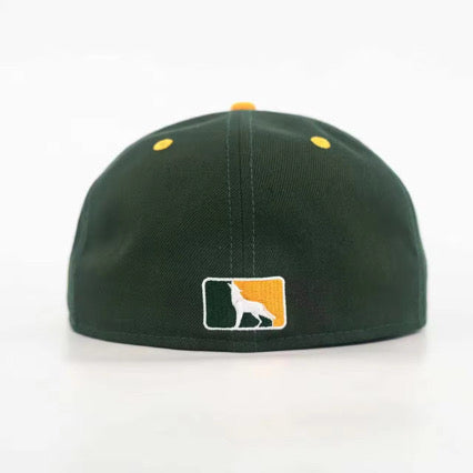 Signature Logo Fitted Cap (Special Box)